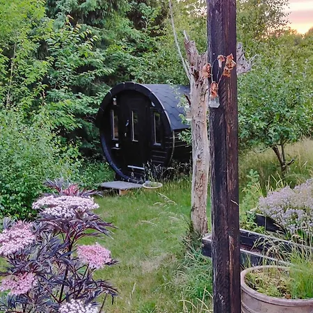 Beautiful In With Wifi *