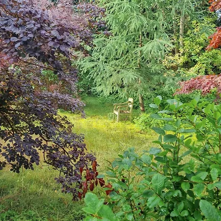 Beautiful In With Wifi 吉利勒杰